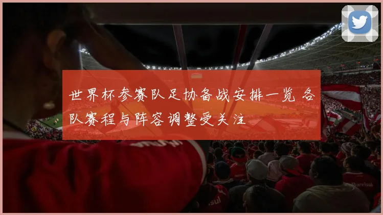 世界杯参赛队足协备战安排一览 各队赛程与阵容调整受关注