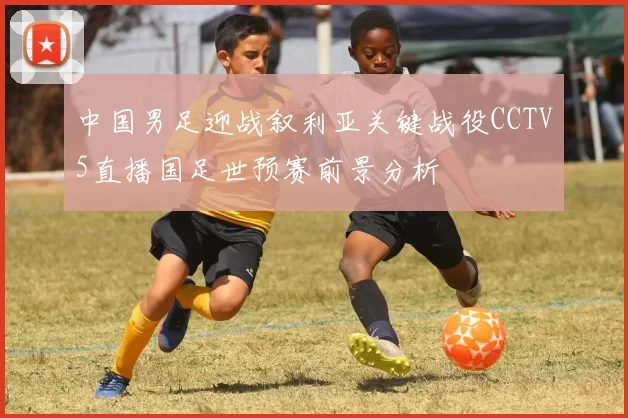 中国男足迎战叙利亚关键战役CCTV5直播国足世预赛前景分析