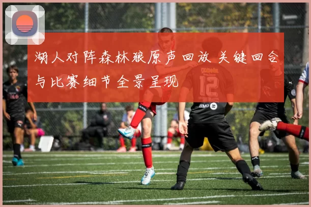 湖人对阵森林狼原声回放 关键回合与比赛细节全景呈现
