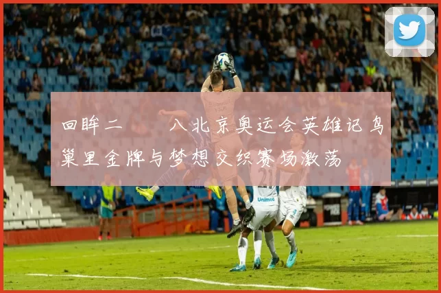 回眸二〇〇八北京奥运会英雄记鸟巢里金牌与梦想交织赛场激荡