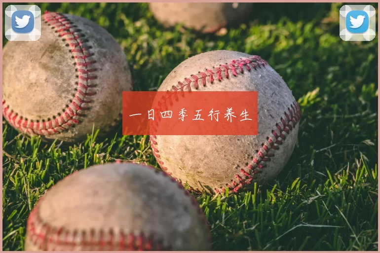 一日四季五行养生