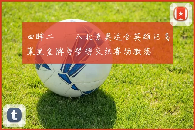 回眸二〇〇八北京奥运会英雄记鸟巢里金牌与梦想交织赛场激荡